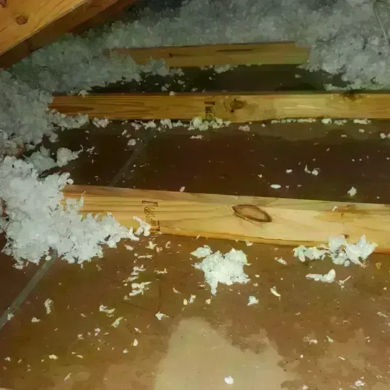 Attic Water Damage in Brentwood, NY